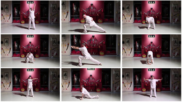 Learn Yin Jin Jing Online